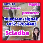 5CL-ADBA Strongest precursor Raw Materials Research Chemical - Раздел: Косметика, парфюмерия, средства по уходу