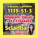 5-Bromo-1-Pentene cas 1119-51-3 99%