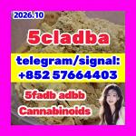 Raw Materials 5CLADBA supplier 5cl 5cl
