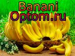 Бананы крупным оптом и мелким высшего качества в России из Эквадора от прямого поставщика.