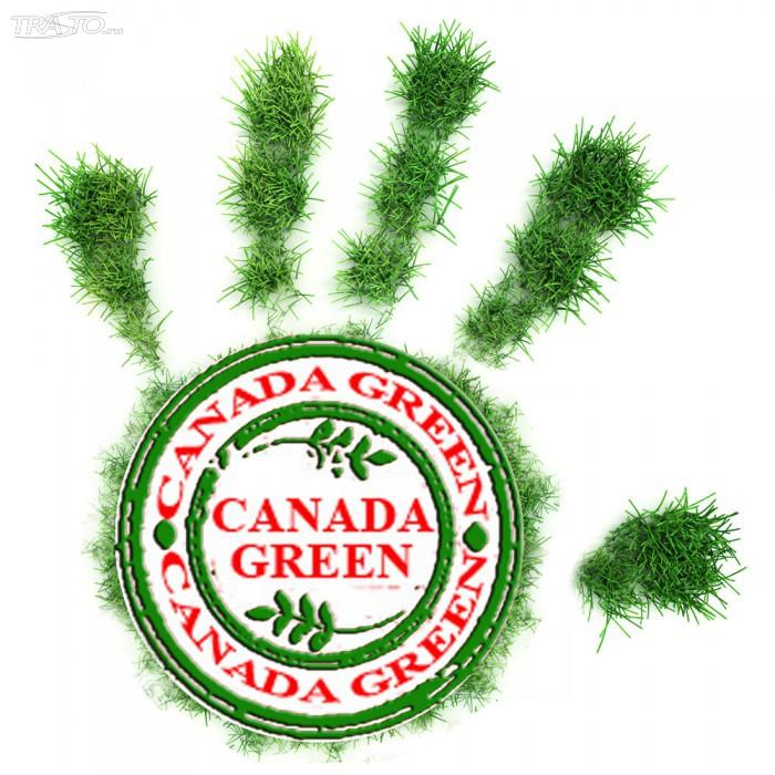 Canada Green Grass Seed.