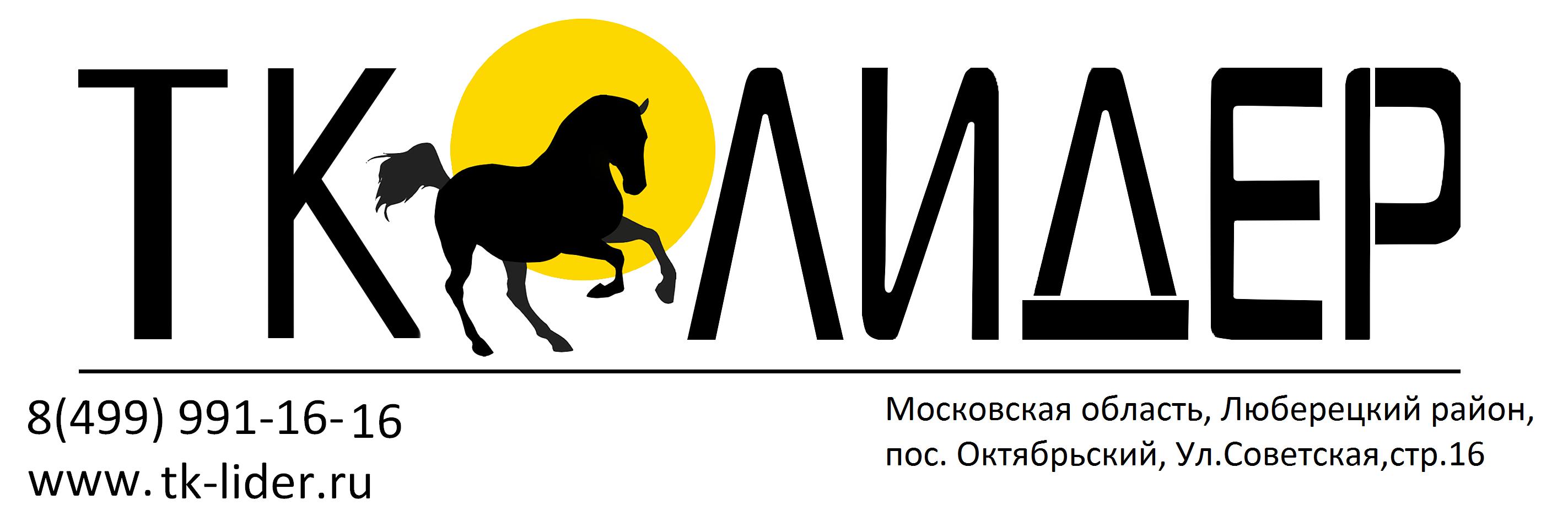 Сайт лидер нижний новгород. ТК Лидер. ООО ТК Лидер. Логотип ТК Лидер. ООО "ТК Лидер" Челябинск.