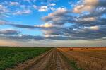 Самарские учёные создали первую отечественную систему помощи в принятии решений для аграриев