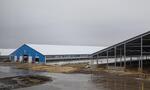 «Русмолко» открыла первую очередь молочного комплекса в Пензенской области