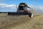 Чувашские аграрии собрали рекордный урожай зерновых