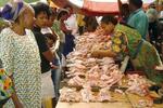 Группа агропредприятий «Ресурс» отгрузила 2 700 тонн куриного мяса в страны Африки