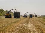 В Курской области собран рекордный урожай зерна