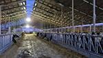 «ЭкоНива» ввела в эксплуатацию крупный молочный комплекс в Бугульминском районе Татарстана