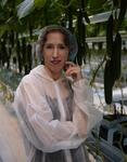 Ситуация с тобамовирусами в России. Меры борьбы и перспективы развития
