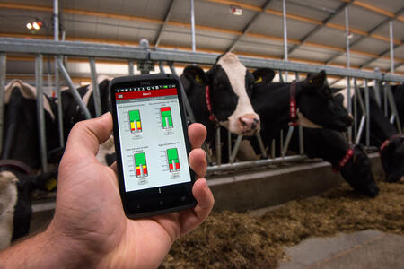 МТС создала систему цифрового управления молочной фермой на основе датчиков для коров