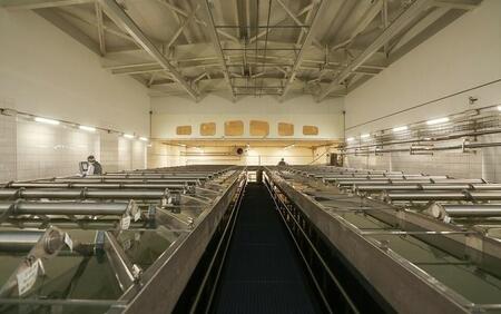 Белинский филиал компании «Хохланд» запустил новую линию по производству полутвердых сыров