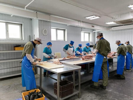 В Хабаровске ООО «Мясоопторг» открыл новый мясной цех