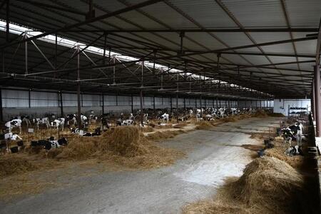 СПК-колхоз «Полярная звезда» модернизировал молочную ферму в Ставропольском крае