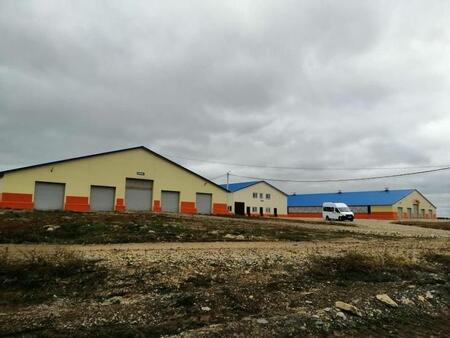 В Удмуртии открыт новый молочный комплекс на 800 голов