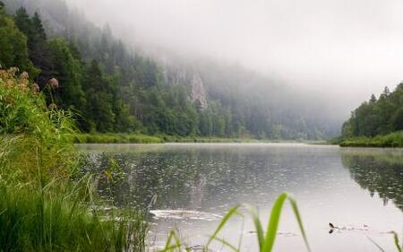 Тяжелые металлы в сточных водах