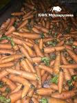 Мытый лом моркови на переработку