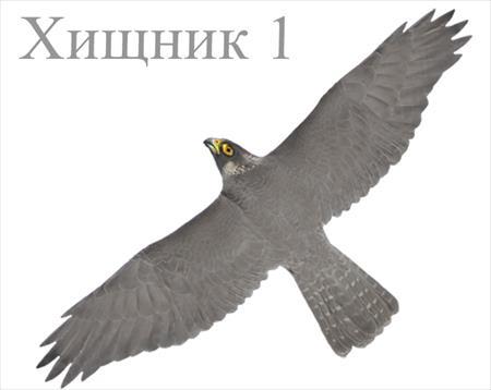 Визуальный отпугиватель птиц Хищник-1 Визуальный отпугиватель птиц Хищник-1