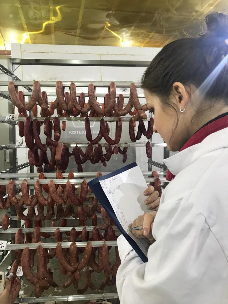 Климатическая камера копчения сырокопченых колбас от 4 еврорам Климатическая камера копчения сырокопченых колбас от 4 еврорам