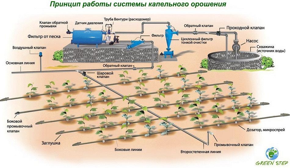 Системы капельного орошения Системы капельного орошения