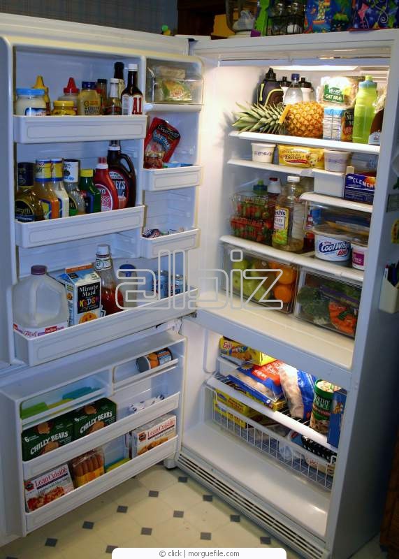 Холодильник SHRF-50