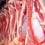 мясо свинины, полутуши 2 категории