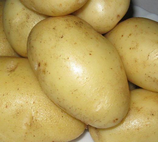 Где В Воронеже Купить Семенной Картофель