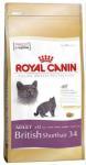 Сухой корм для кошек Royal Canin British Shorthair 34 (для британской короткошерстной)