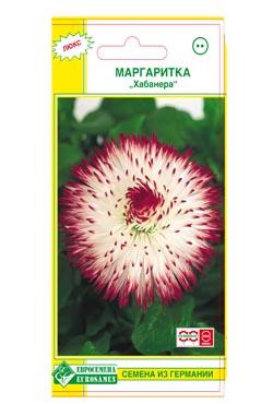 Семена маргариток Хабанера, бело-красная