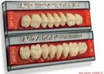Зубы Acry Plus - двухслойные, акриловые, фронтальный верх, 6шт. Италия