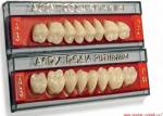 Зубы Acry Plus - двухслойные, акриловые, фронтальный низ, 6шт. Италия