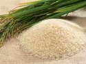 Купить рис оптом в Крыму. Рис длиннозерный. Рис купить