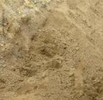 Мелкозернистый песок