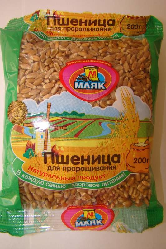 Пшеница для проращивания
