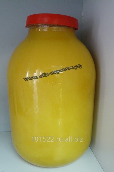 Мёд цветочный 3-х литровая банка с разнотравья