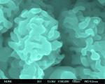 Микро- и нанокристаллические порошки молибдена