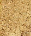 песок обычный (речной, мелкозернистый, на подсыпку)