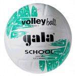 Мяч волейбольный Gala BV5031L School