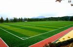 Искусственная трава для футбольных полей