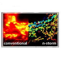 Система высокого разрешения N-STORM, Nikon (Япония)