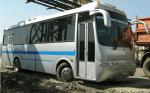 Продаем автобусы корейские