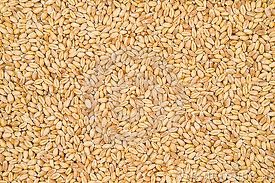 Пшеница 3, 4, 5 класс экспорт