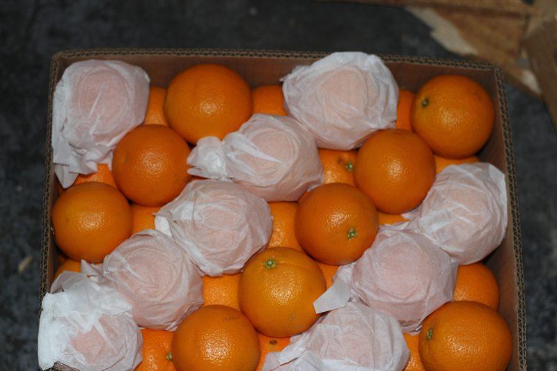 Мандарины хранятся. Апельсины в коробке. Хранение цитрусовых. Ящик с апельсинами. Упаковка для цитрусовых.