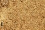 Песок карьерный (м.кр. 1.9)