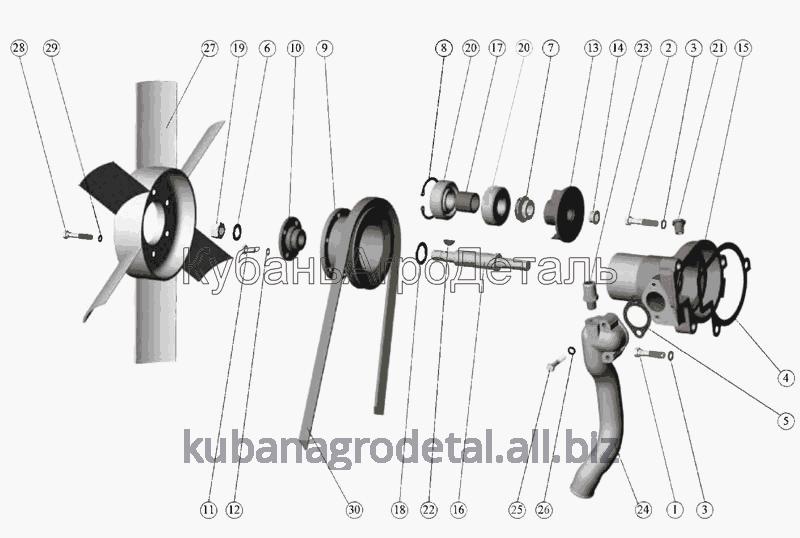 Запчасти для сельхозтехники МТЗ-80 (2009) Насос водяной и вентилятор