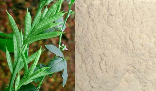 Гуаровая камедь Guar Gum Гуаровая камедь Guar Gum