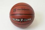 Мяч баскетбольный  Terrasport-BS001