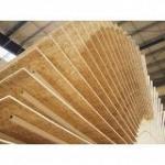 OSB (Oriented Strand Board)