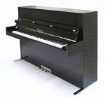 Bluthner Model D - Раздел: Музыка и видеофильмы