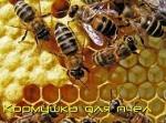 Кормушка для пчел