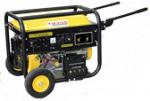 Сварочный генератор Mustang CGW 210E2